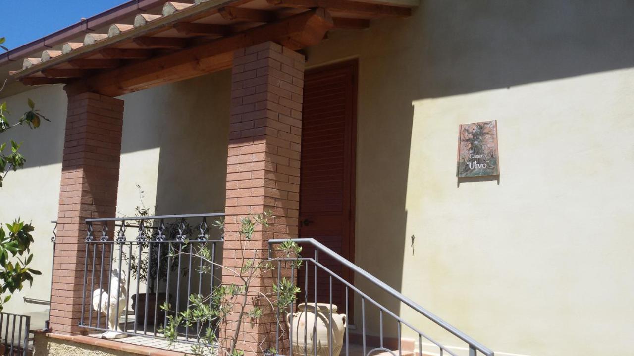 Le Camere Di Nonna Mara Montescudaio Exterior photo